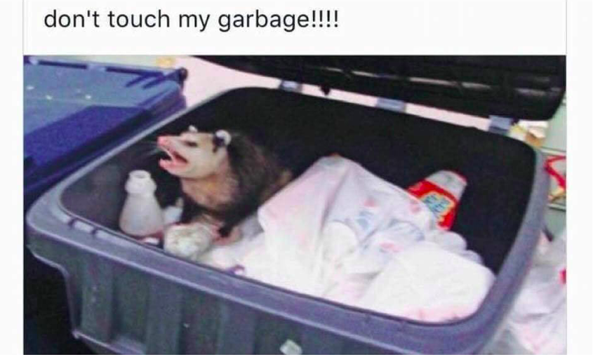 donttouchmygarbage-possum