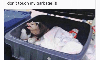 donttouchmygarbage-possum